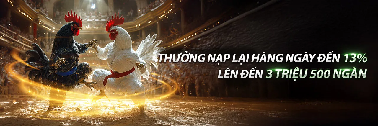 Sân vận động đầy ắp khán giả với các trận đấu thể thao kịch tính tại m99